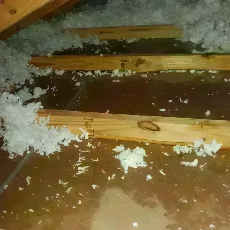 Attic Water Damage in Woodmont, CT